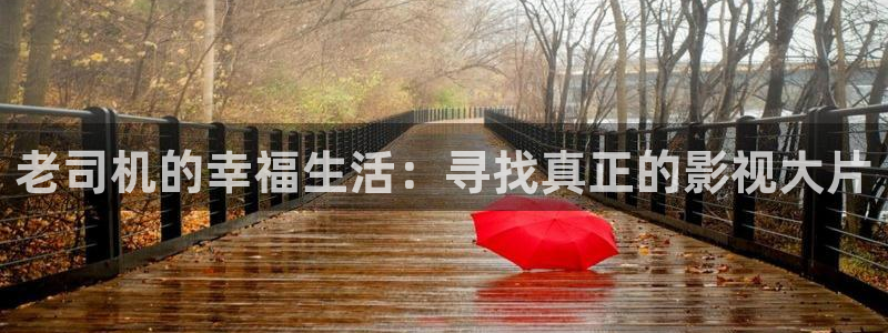 电影天堂这个杀手不太冷静