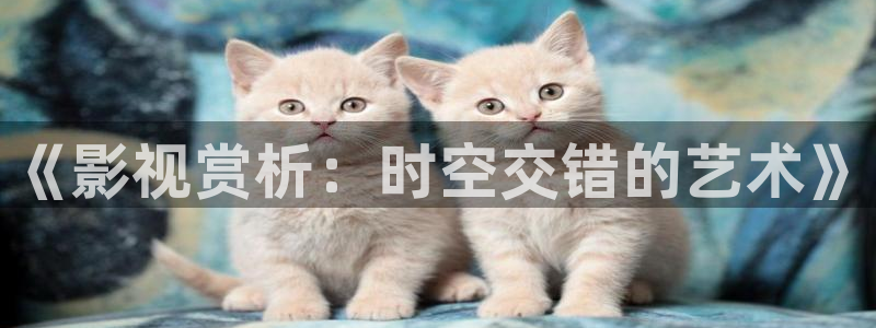 '电影天堂