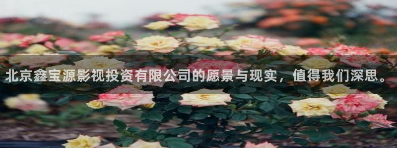 电影天堂下载网站免费