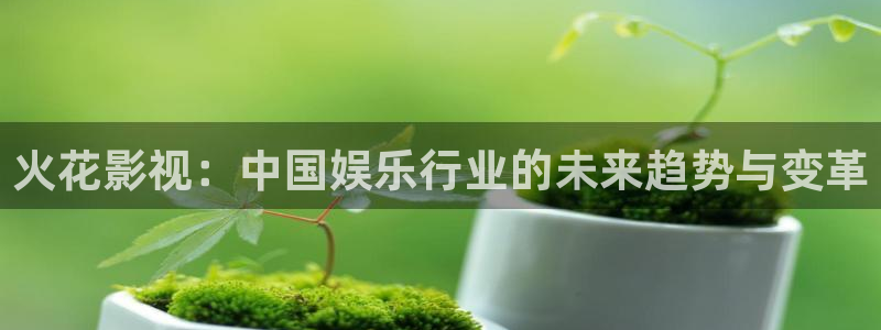 dy2018电影天堂官网